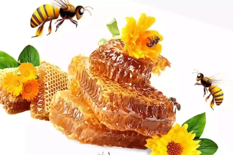 Bees flying around honey - Nsimye Herbal Medicine